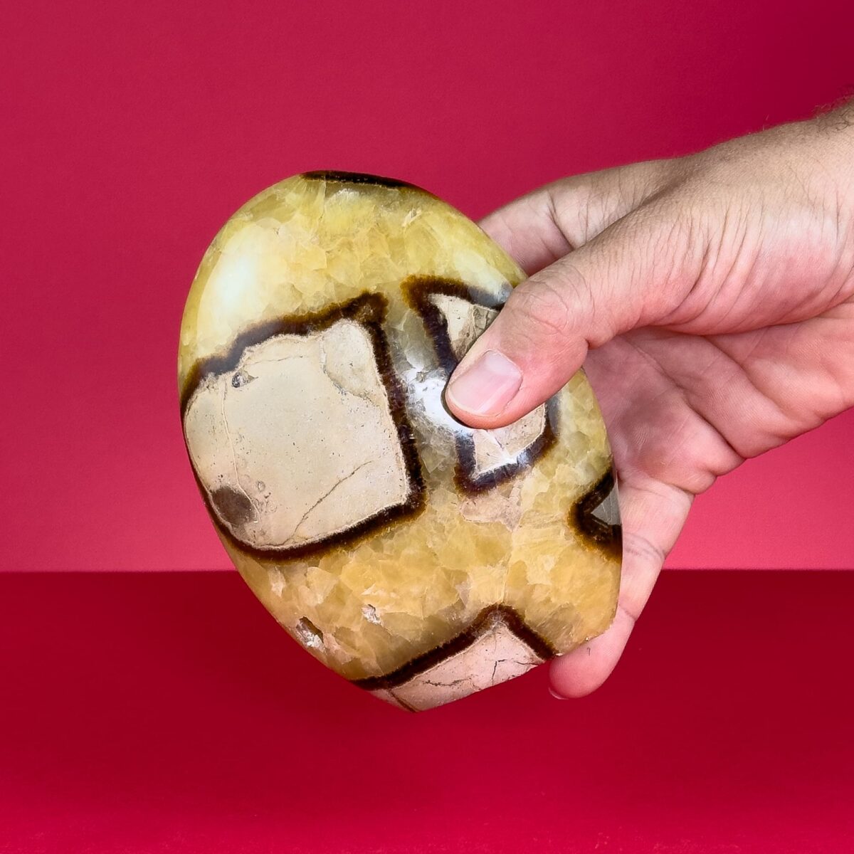 Septarian Form Septarian Mineral Free Forms from Madagascar (Height: 9 – 14 cm) – Latiaxis