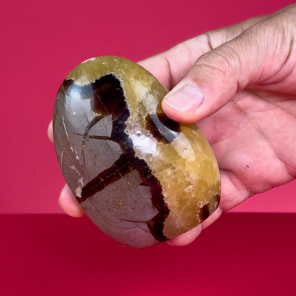 Septarian Form Septarian Mineral Free Forms from Madagascar (Height: 9 – 14 cm) – Latiaxis