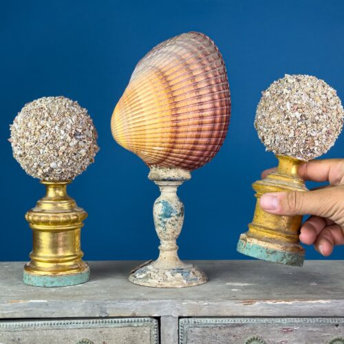 Decorative Set: Bivalve Shell on Base & Pair of Micro-Shell Covered Spheres – 19th Century Style