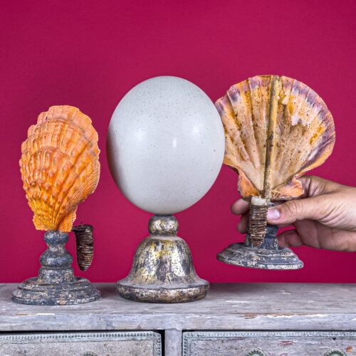 Decorative Set: Ostrich Egg on Silvered Base & Pair of Pecten Shell Candle Holders – Late 19th Century