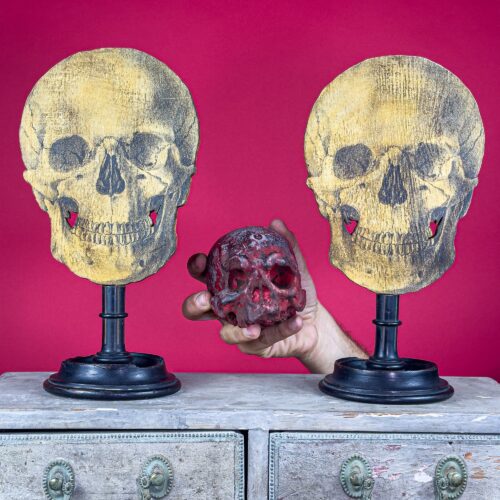 Set of Three Decorative Skulls – Late 19th to Early 20th Century