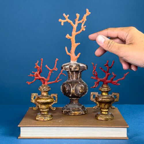 Trio of Coral Branches on Antique Turned Wooden Bases