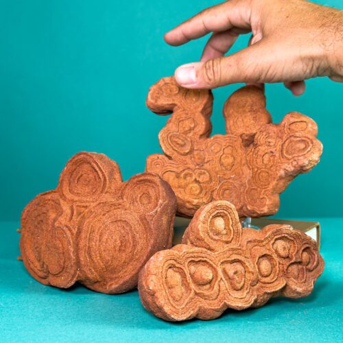 Stromatolite Fossil (Desert Rose) – Morocco