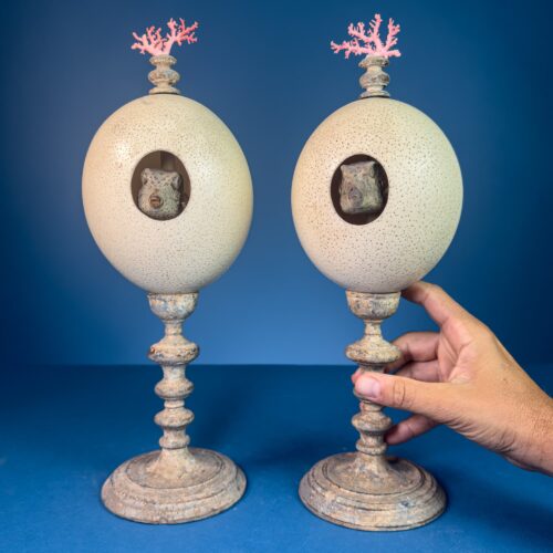 Boxfish Pair Inside Ostrich Eggs on Turned Lacquered Wooden Bases with Decorative Red Coral Tops