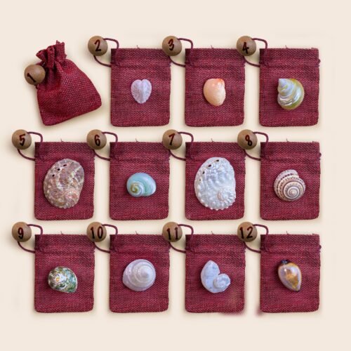 Advent Calendar 2025 – Shells Edition (24 Pieces)