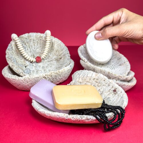 Fossil Coral Bowls – Madagascar